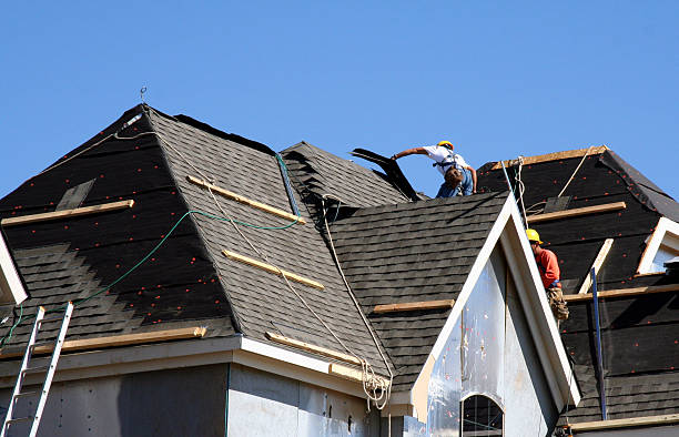 Best Roof Gutter Cleaning  in Stanley, VA