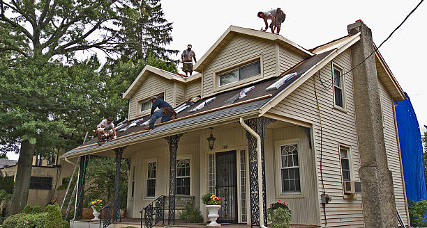 Best Roof Maintenance Services  in Stanley, VA