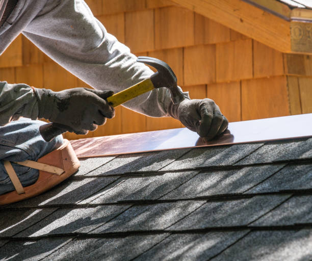Best Local Roofing Companies  in Stanley, VA